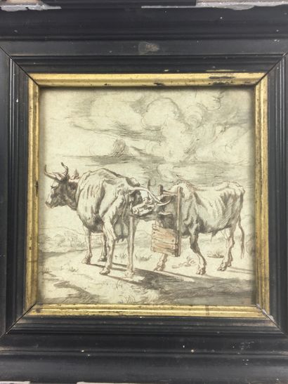  ECOLE DU NORD vers 1700 Deux vaches Plume et encre brune, lavis gris 12 x 12 cm...