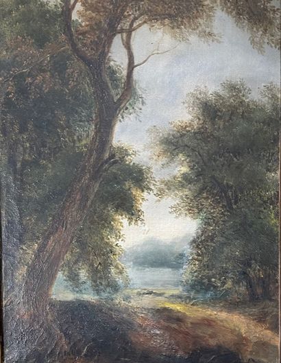 null ECOLE FRANCAISE du XIXème siècle Paysage Huile sur panneau 46 x 52 cm