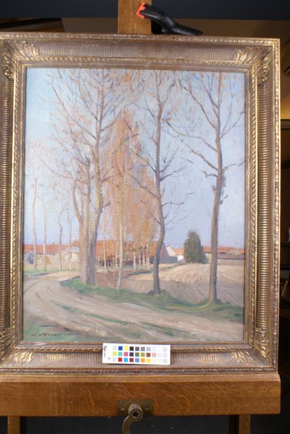 null HENRI SOLLIER (1886-1966) L'allée d'arbres Huile sur toile Signé en bas à droite...