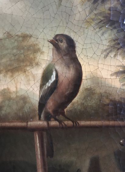 null ECOLE DU NORD du XVIII siècle Portrait d'enfant avec un oiseau Huile sur toile...