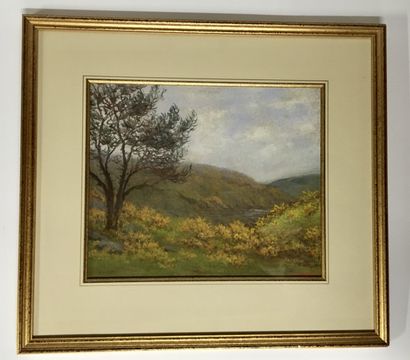 null Mathurin JANSSAUD (1857- 1940) Paysage de lande aux fleurs jaunes Pastel Signé...