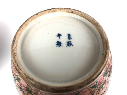 null CHINE Paire de potiches couvertes en porcelaine de forme ovoïde décorées en...