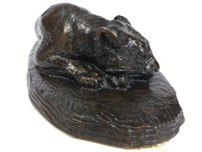  Antoine-Louis BARYE (1795-1875) Jaguar dormant Épreuve en bronze patiné, signée...