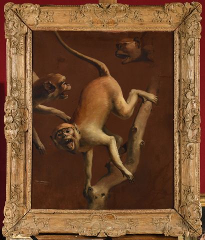 null FOLLOWING PIETER BOEL Studies for a monkey on a branch Paper marouflaged on...