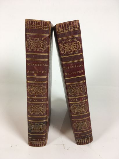 null Syndenham EDWARDS (1768-1819) The botanical register consisting of coloured...
