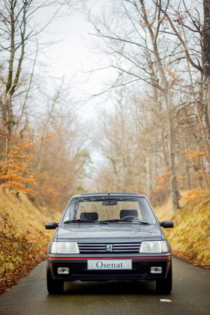 1990 PEUGEOT 205 GTI 1.6L Numéro de série VF320CB6223877055

3e main 

Bel état d'origine

168...