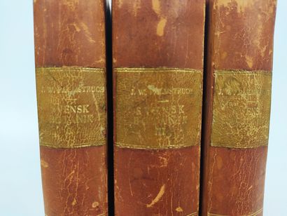 null Johan Wilhelm PALMSTRUCH (1770-1811) SVENSK BOTANIK 3 Vol. textes et planches...