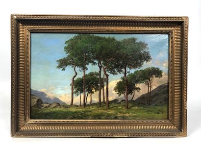  ECOLE FRANCAISE du XIXe siècle Clairière en montagne Huile sur toile 27 x 42 cm
