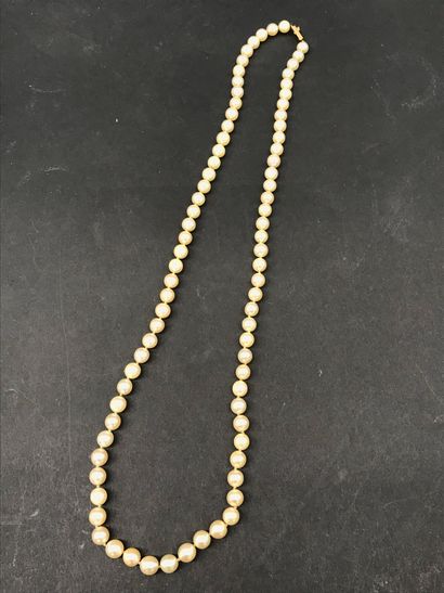 null COLLIER 

de perles de culture, fermoir en or jaune. 

L. 57 cm

BE
