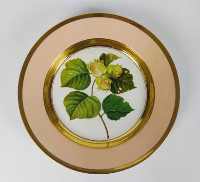 null FURSTENBERG Rare and beautiful set of twelve porcelain plates of circular shape....