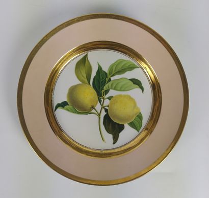 null FURSTENBERG Rare et bel ensemble de douze assiettes en porcelaine de forme circulaire....