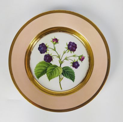 null FURSTENBERG Rare and beautiful set of twelve porcelain plates of circular shape....