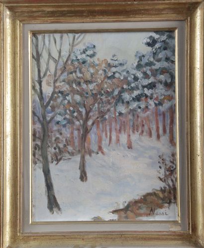 null Marie Lucie NESSI-VALTAT (1910-1993) « Paysage d’hiver » Huile sur toile, signée...