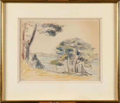 null MAXIMILIEN LUCE (1858-1941) Pines by the Sea Coloured pencil drawing Signed...