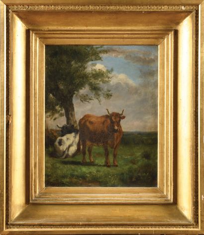 null J. CAPEYRON (XIX) Vache au pré Oil on canvas Signed lower left 33,5 x 42 cm...