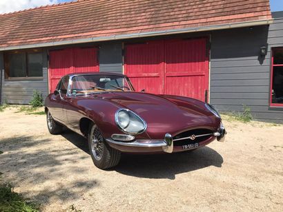 1966 JAGUAR TYPE E S.1 4,2L FHC SERIAL NUMBER 1E32078

MYTHICAL TYPE E SERIES 1 

COMPETITION...