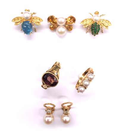 null JEWELRY SET in 18K yellow gold including : -a brooch with an insect design decorated...