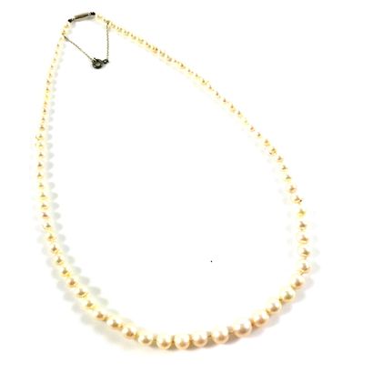 null NECKLACE of sea water cultured pearls. Falling string. Clasp in 18K white gold....