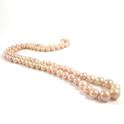 null IMPORTANT SAUTOIR adorned with 78 gold-pink round South Sea pearls. Clasp in...