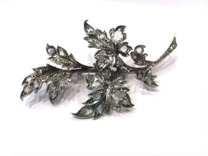 null 
TREMBLING BROOCH WITH TRANSFORMATION

holding a flower design on a leafy branch...