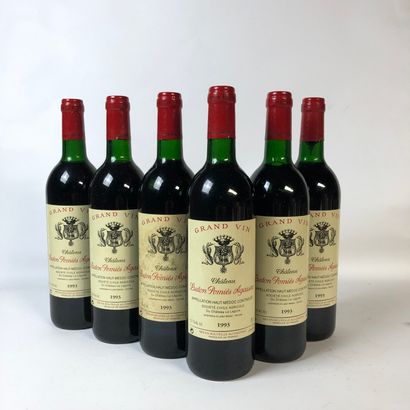 null 6 bouteilles CHÂTEAU LUDON POMIÉS AGASSAC 1993 Haut-Médoc (niveaux très léger...