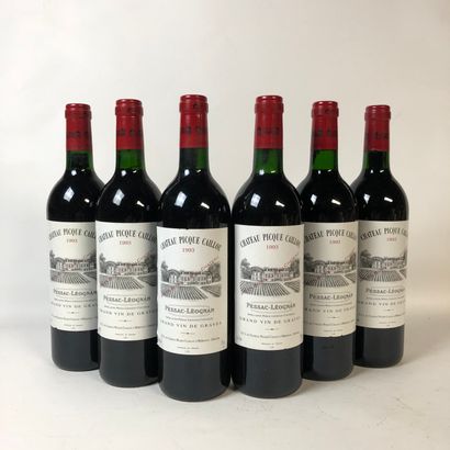null 6 bouteilles CHÂTEAU PICQUE CAILLOU 1993 Pessac-Leognan (niveaux très léger...