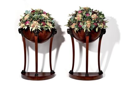 null A PAIR OF CURIOUS AND RARE GARDENERS in the form of a hemicycle in mahogany...