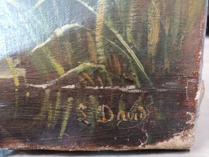 null S. DAVID (XIX-XXe)

Etang 

Huile sur toile signée en bas à droite

73 x 100...