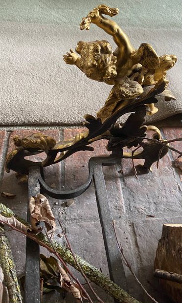  PAIRE DE CHENETS avec les fers en bronze patiné ciselé et doré représentant deux...