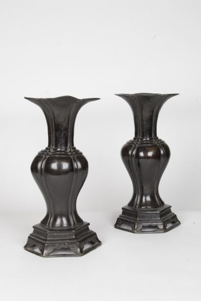 null CHINE, XVIIE SIECLE

Paire de vases en bronze de patine brune, de section ovale...