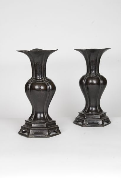 null CHINE, XVIIE SIECLE

Paire de vases en bronze de patine brune, de section ovale...