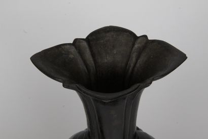 null CHINE, XVIIE SIECLE

Paire de vases en bronze de patine brune, de section ovale...