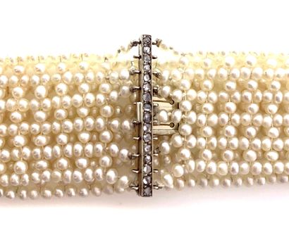 null COLLIER DE CHIEN orné de six rangs de perles blanches probablement fines (non...