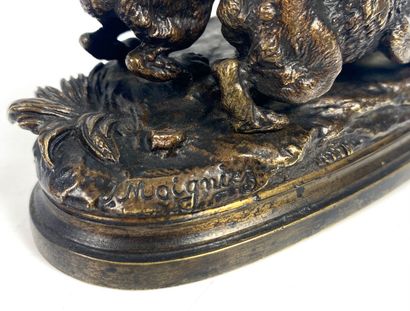 null Jules MOIGNIEZ (1835-1894) Deux lapins Bronze à patine brune signé sur la terrasse...