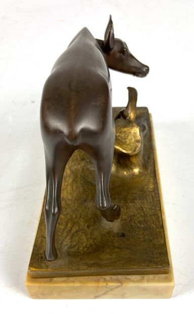 null Franz GRÜBER (1878-1945) Hind near a stump Bronze with double patina Marble...