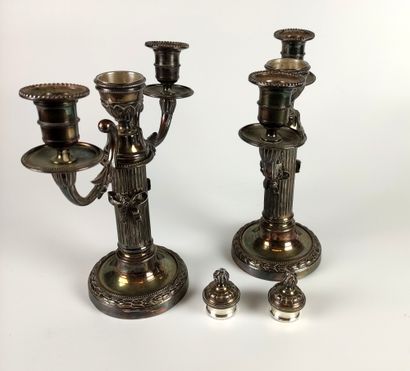 null Pair of silver plated bronze CANDELABRES with two arms of lights resting on...