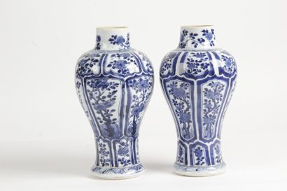 null China, late 19th-early 20th century Pair of blue-white porcelain vases decorated...