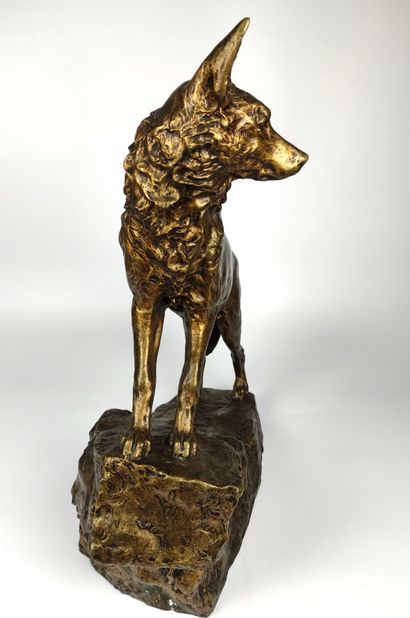null Marius Joseph SAIN (1877-1961) The Wolf Bronze with golden patina Signed on...