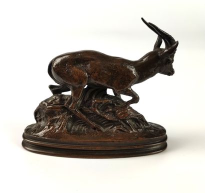 null Antoine-Louis BARYE (1795-1875) Gazelle of Ethiopia. Bronze, old proof, brown...