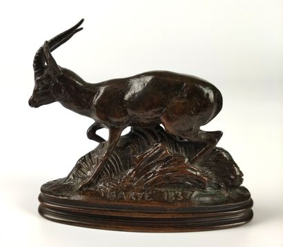 null Antoine-Louis BARYE (1795-1875) Gazelle d’Éthiopie. Bronze, épreuve ancienne,...