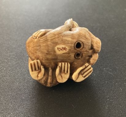 null JAPON, FIN XIXe siècle Netsuke en ivoire* sculpté à motif de trois petits singes...