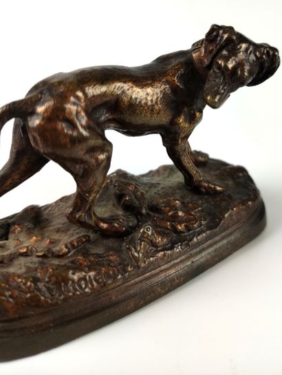 null Jules MOIGNIEZ (1835-1894) Spaniel at the halt Bronze with brown shaded patina....
