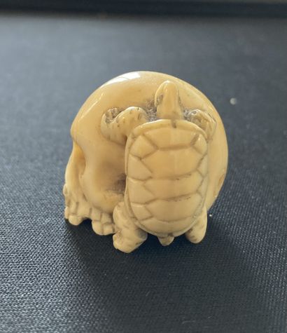 null JAPAN, 19th century Carved ivory* Netsuke with a turtle clutching a skull. Height:...