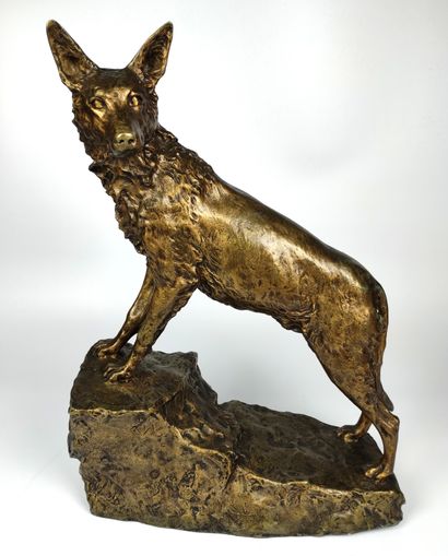 Marius Joseph SAIN (1877-1961) Le Loup Bronze...