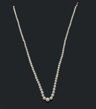 null NECKLACE decorated with a row of fine pearls in fall. Certificate LFG : Shape...
