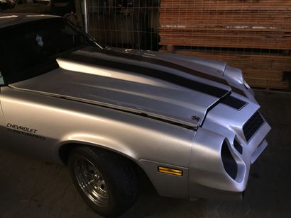 1979 Chevrolet Camaro Serial Number: 1Q87G9N521395

CGF Collection

Engine fully...