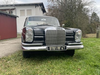 1963 MERCEDES-BENZ 300 SE W112 Serial number 11201412004154

Good condition 

Many...