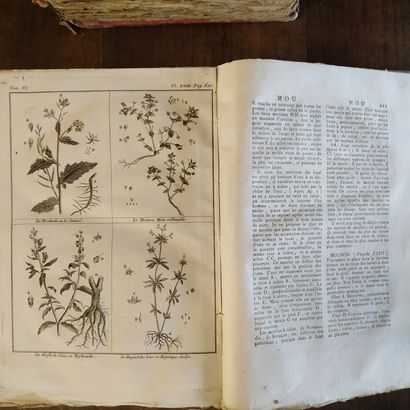 null ABBE ROZIER

"Cours complets d'agriculture"

1793 

12 volumes 

Ed.Librairie...