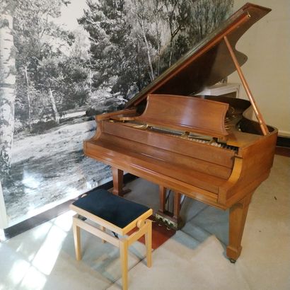 null STEINWAY PIANO

bearing the n° 398 790

Made in New-York in 1966/67.

Model...