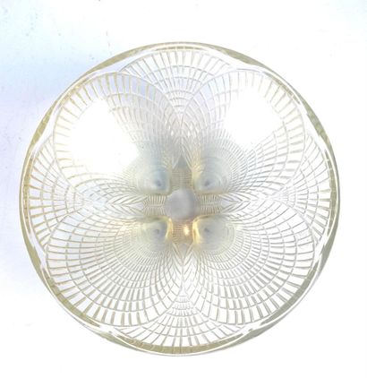 null René LALIQUE « Coquilles » n°3, modèle créé en 1927 Coupe en verre pressé moulé...